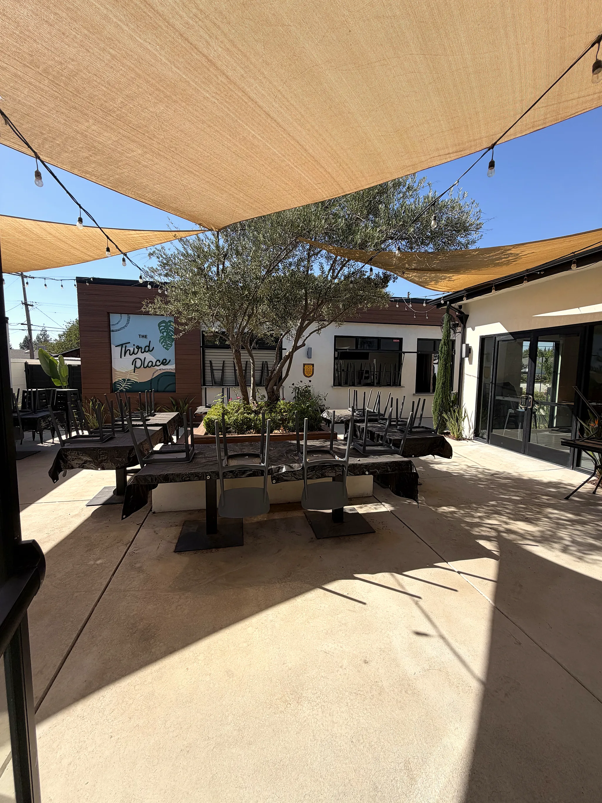 Courtyard with the Third Place mural, olive tree and shade sails